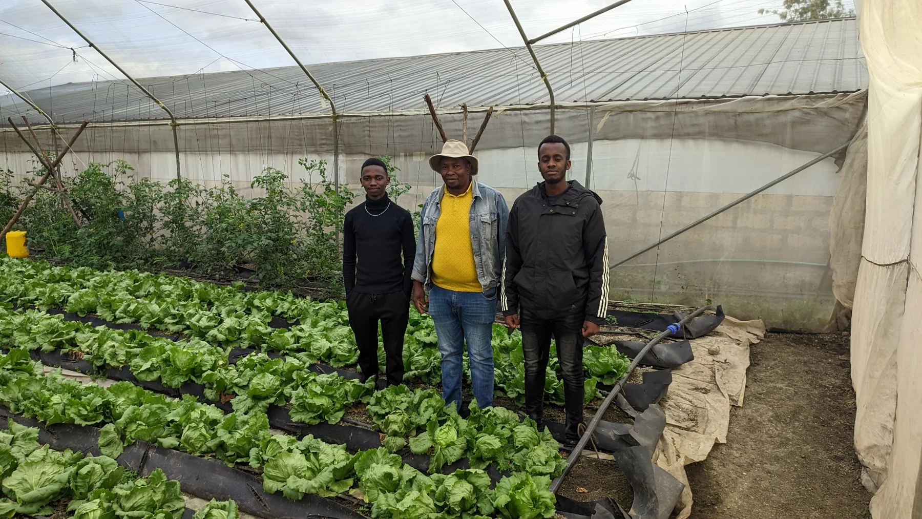 A visit to the greenhouse