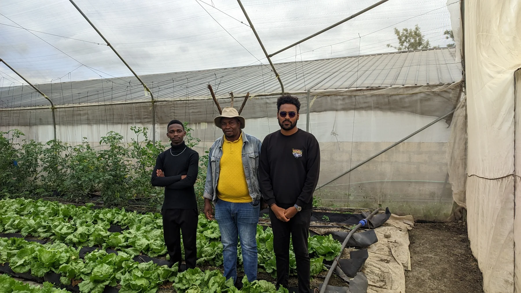Inside the greenhouse
